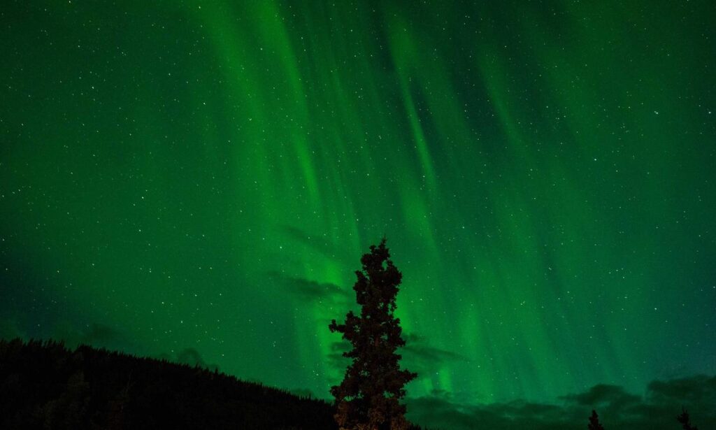 wired vs wireless gaming gear